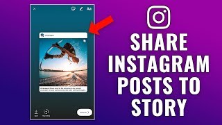 Tips on how to Share Instagram Posts to Narrative